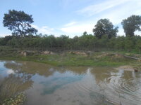 DSCN0934.JPG