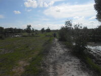 DSCN0935.JPG