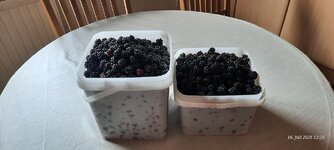 20260716_132533.jpg