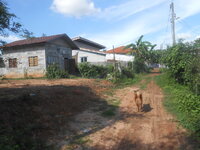 DSCN0936.JPG