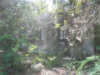 DSCN0937.JPG