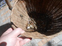 DSCN0940.JPG