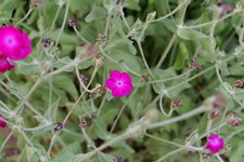 P1000193.JPG