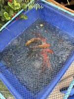 IMG_8992.jpeg