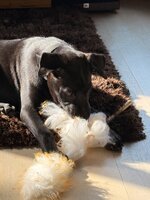 IMG_8666.jpeg