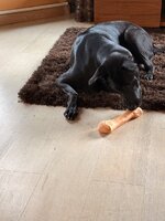 IMG_9013.jpeg