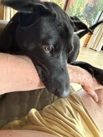 IMG_8990.jpeg
