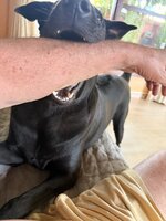 IMG_8989.jpeg