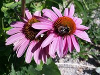 IMG-20260713-WA0043.jpg