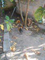 DSCN0946~2.JPG