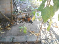 DSCN0947.JPG