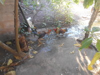 DSCN0949.JPG