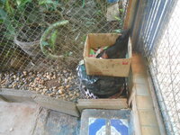 DSCN0954.JPG