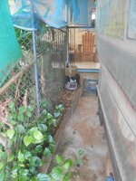 DSCN0955~2.JPG