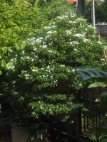 DSCN0976~2.JPG