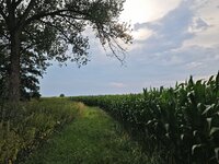 IMG_20260717_192834.jpg