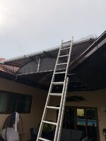 IMG_8976.jpeg