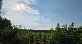 20260716_082611.jpg