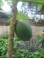DSCN0188~2.JPG