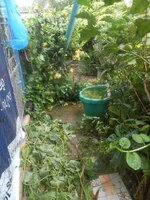 DSCN0113~2.JPG