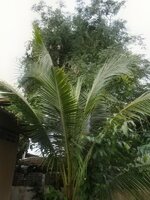 DSCN0193~2.JPG