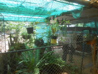DSCN0227.JPG