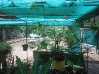 DSCN0228.JPG