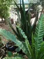 DSCN0231~2.JPG