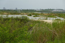 DSC01295.JPG