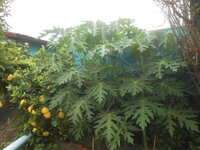 DSCN0143.JPG