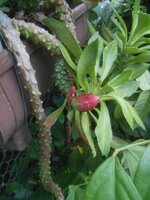 DSCN0176~2.JPG