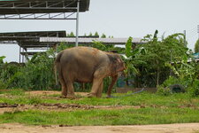 DSC01307.JPG