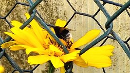 20260708_092420.jpg