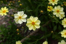 P1000205.JPG