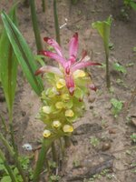 DSCN9938~3.JPG