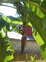 DSCN0742~3.JPG