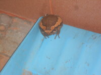 DSCN0741.JPG