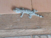 DSCN0774.JPG
