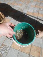 DSCN0942~2.JPG