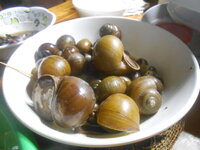 DSCN1063.JPG