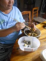 DSCN1065~2.JPG