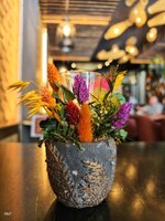 IMG_20260719_135818.jpg