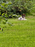 IMG_20260719_163616.jpg