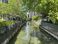 IMG_9516.jpeg