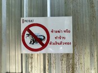 IMG_9563.jpeg