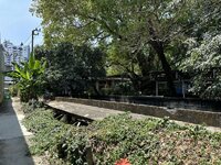 IMG_9564.jpeg