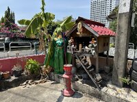 IMG_9565.jpeg