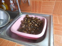 DSCN1026.JPG