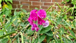 20260720_080750.jpg