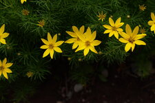 P1000207.JPG